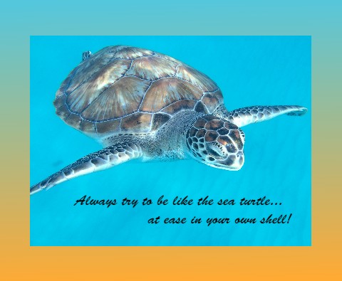 Design 393743 Canvas Prints