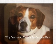 Design 401345 Canvas Prints Image