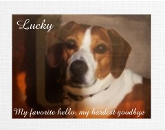 Design 401347 Canvas Prints Image