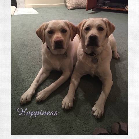 Design 407209 Canvas Prints