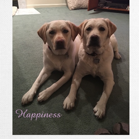 Design 407222 Canvas Prints