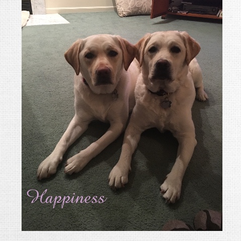 Design 407224 Canvas Prints