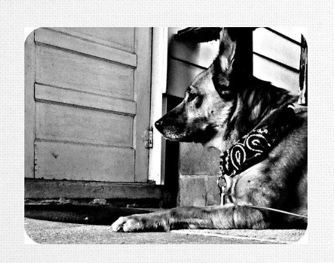 Design 407761 Canvas Prints