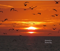 Design 417600 Canvas Prints Image