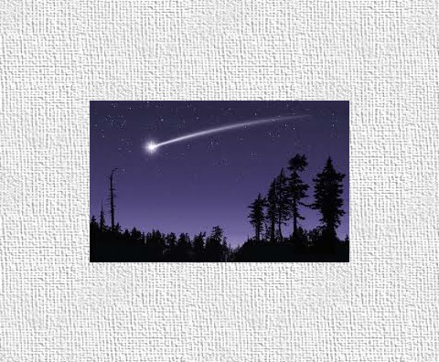 Design 41952 Canvas Prints