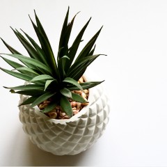 Design 420793