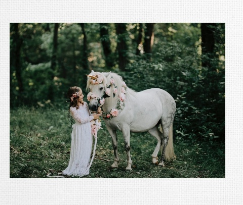 Design 423440 Canvas Prints