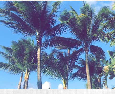 Design 424263 Canvas Prints