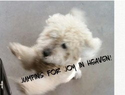 Design 425382 Canvas Prints Image