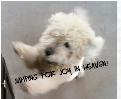 Design 425383 Canvas Prints Image