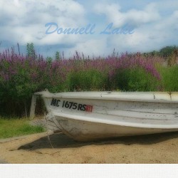 Donnell Lake 2