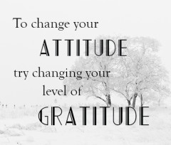 Gratitude