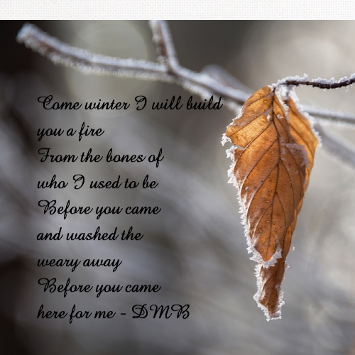 Design 434320 Canvas Prints