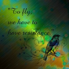 Fly!