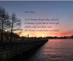 Sam Canvas Prints Image