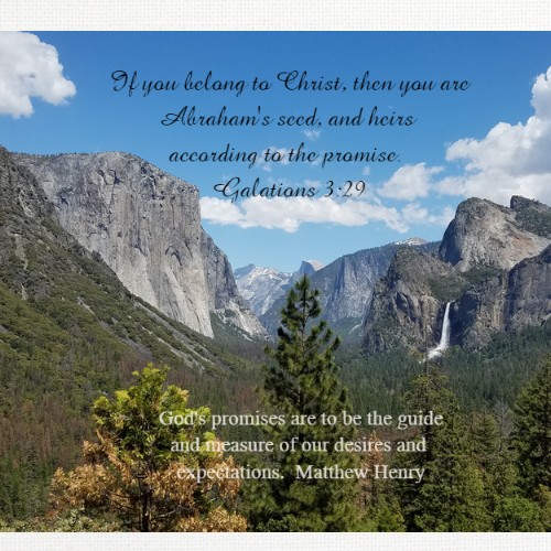 Design 446679 Canvas Prints