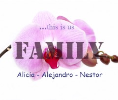 Design 446958