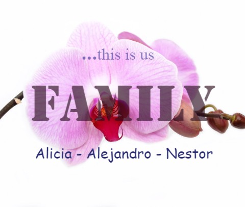 Design 446958 Canvas Prints