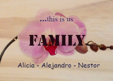 Design 446959 Canvas Prints