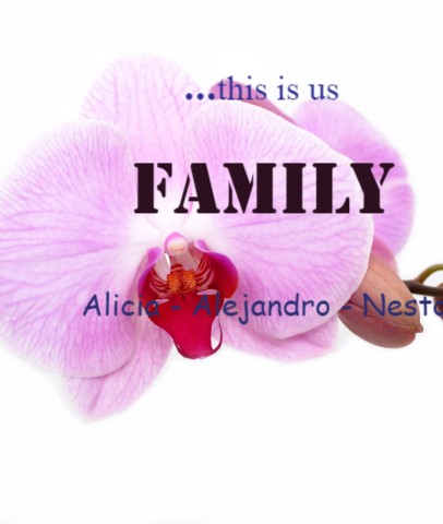 Design 446961 Canvas Prints