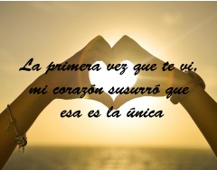 Design 447768