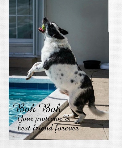 Design 448574 Canvas Prints
