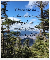 Design 457404 Canvas Prints Image