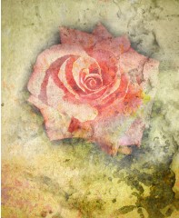 Design #48566 (Background)