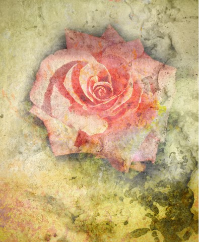 Design 458828 Canvas Prints