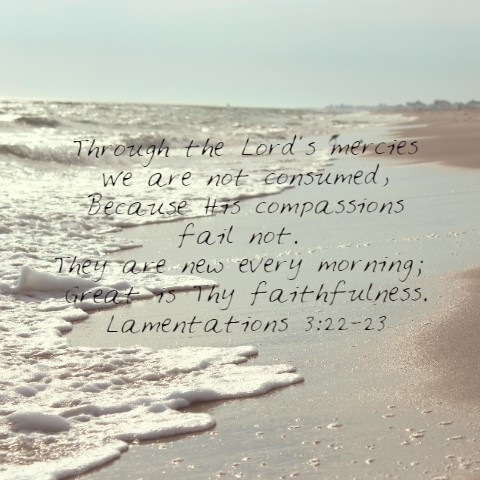 Design 463828 Canvas Prints
