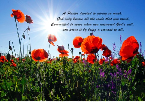 Design 464458 Canvas Prints
