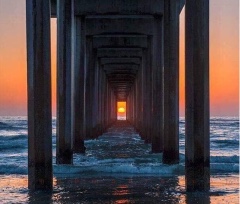 Design 467199 Canvas Prints Image