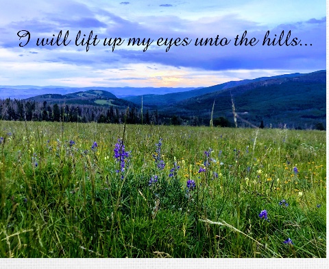 Design 480691 Canvas Prints