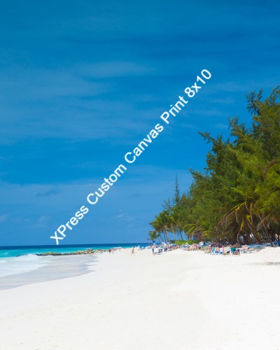 Design 490500 Canvas Prints