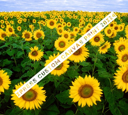 Design 490547 Canvas Prints