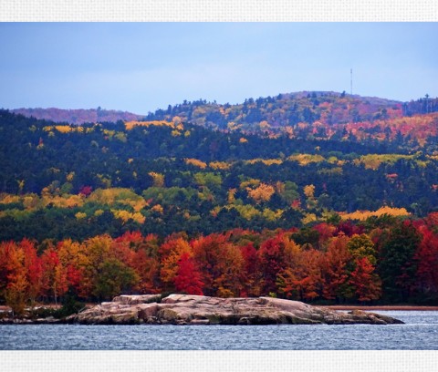 Design 490932 Canvas Prints