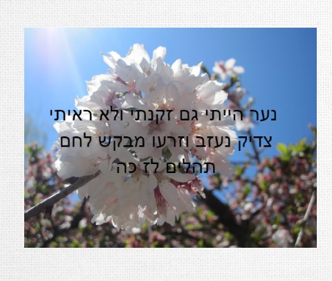 Design 491254 Canvas Prints