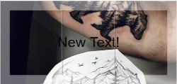 Design 493727