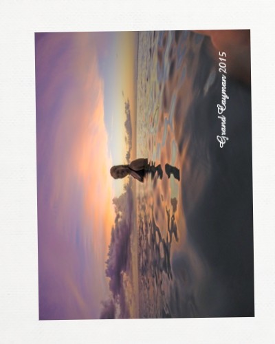 Design 494860 Canvas Prints