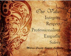 Our Values