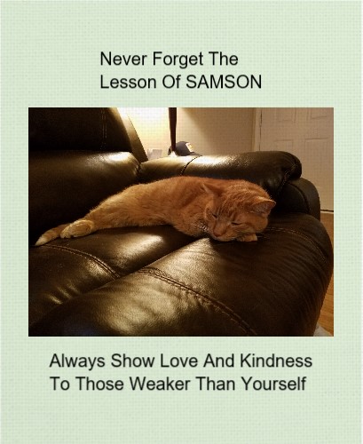 Design 499274 Canvas Prints