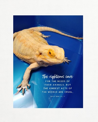 Design 507813 Canvas Prints
