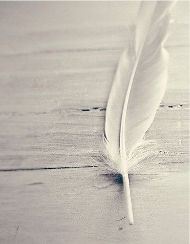 Design 508787 Canvas Prints