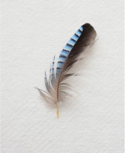 Design 508789 Canvas Prints