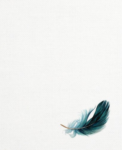 Design 508907 Canvas Prints
