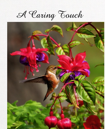 Design 512805 Canvas Prints