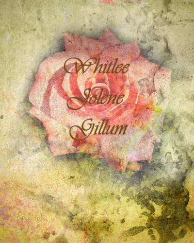 Design 516959 Canvas Prints