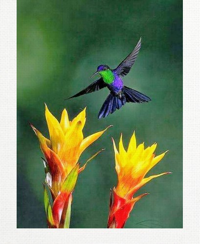 Design 518922 Canvas Prints