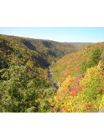 Design 52497 Canvas Prints Image