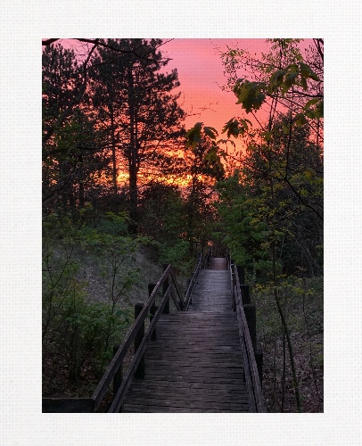 Design 526647 Canvas Prints